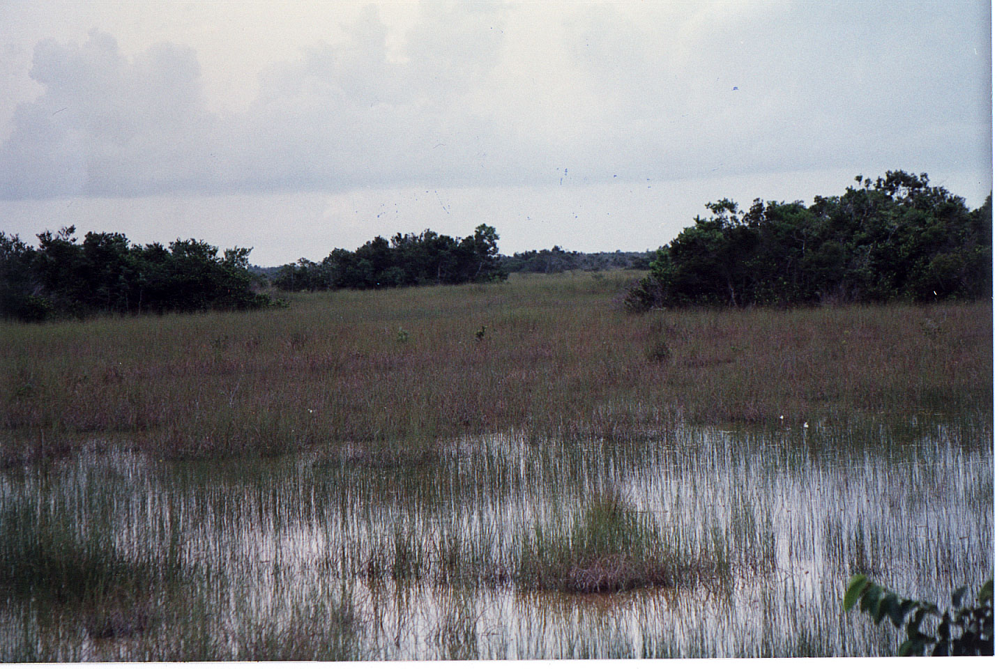 04.jpg, Shark Valley Tram