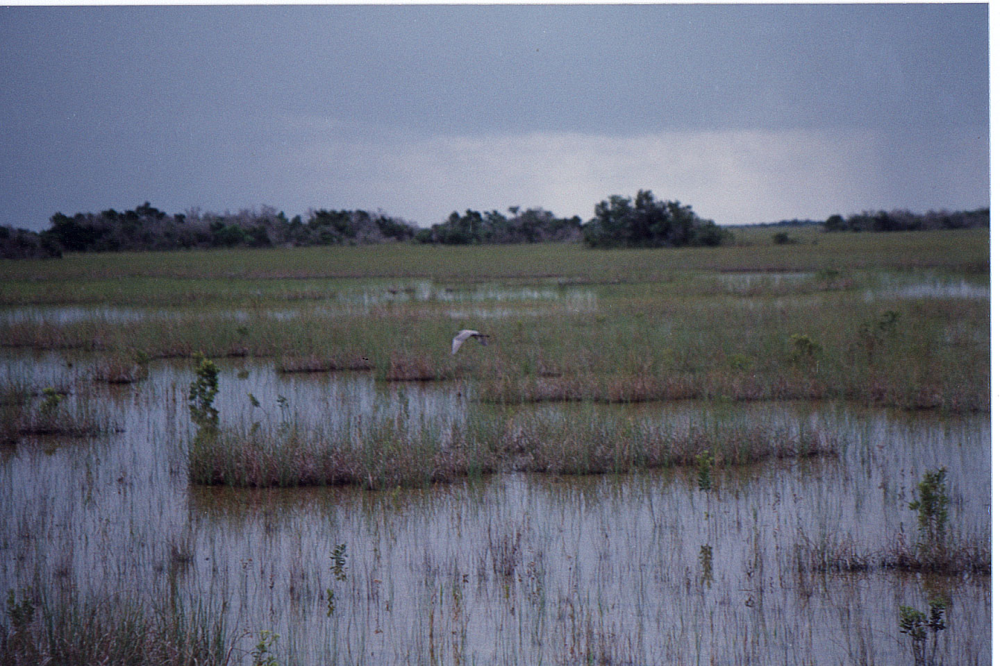 13.jpg, Shark Valley Tram