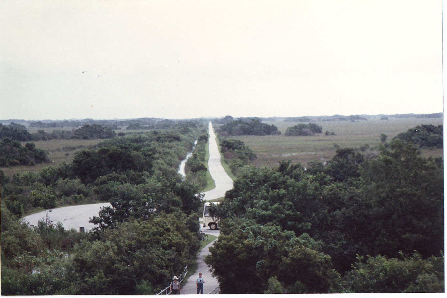 20.jpg, Shark Valley