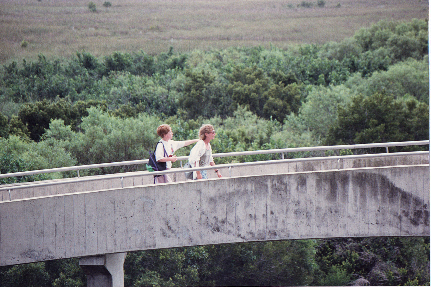 22.jpg, Shark Valley
