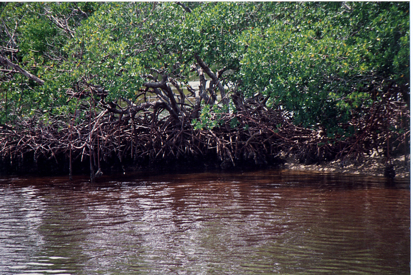 37.jpg, Boat trip