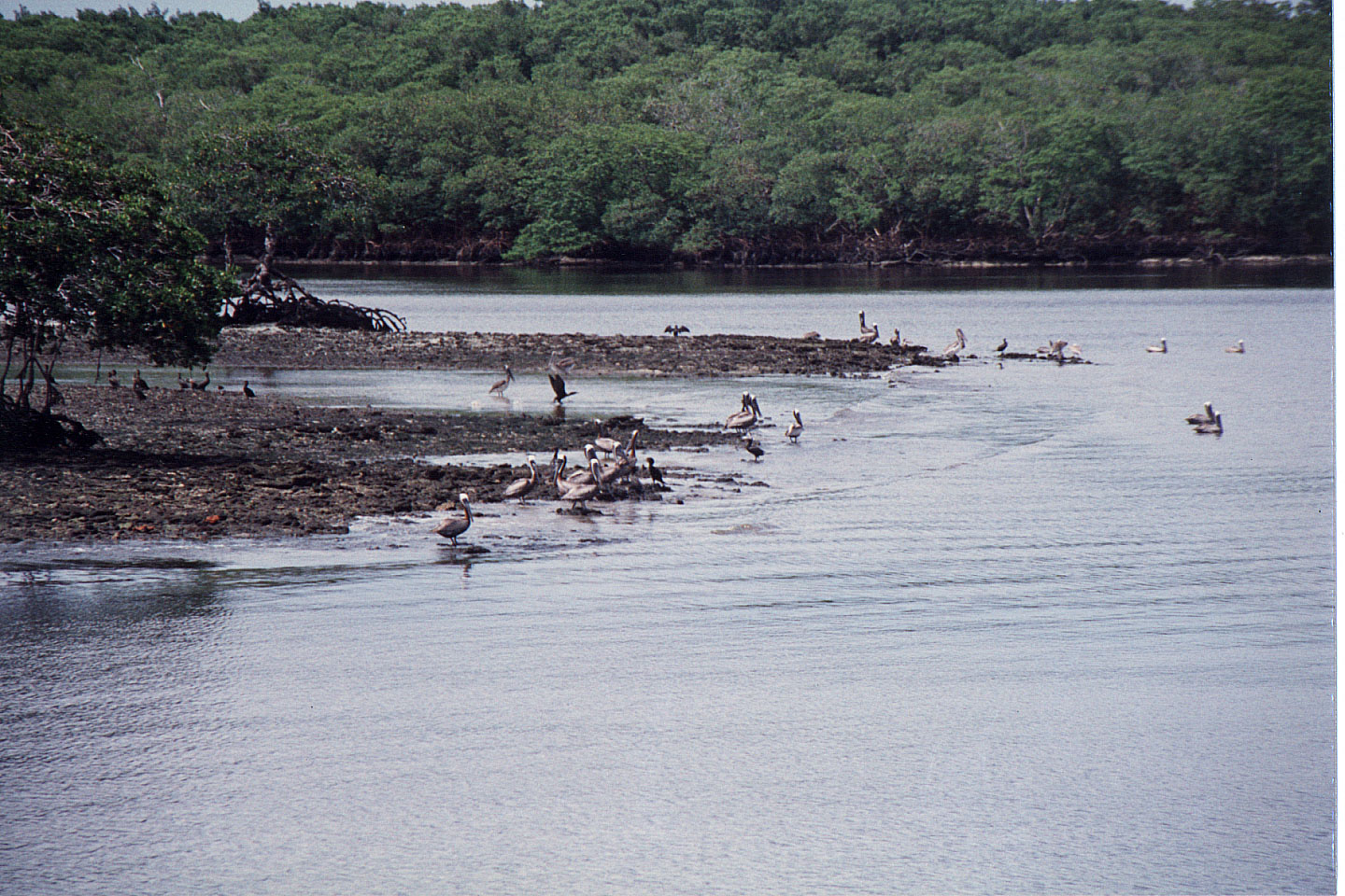 41.jpg, Boat trip