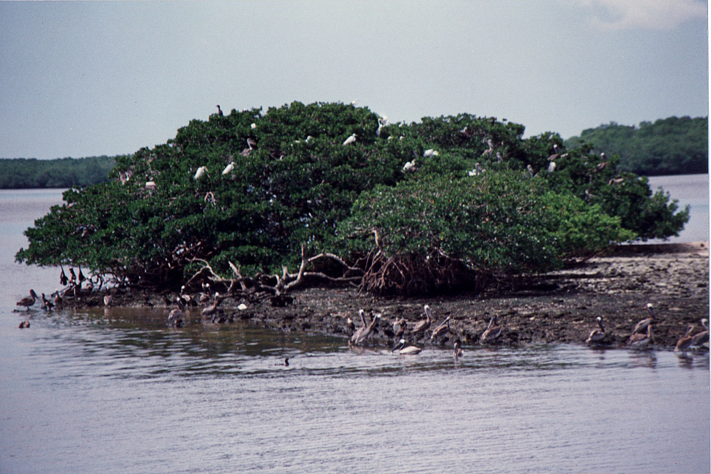 42.jpg, Boat trip