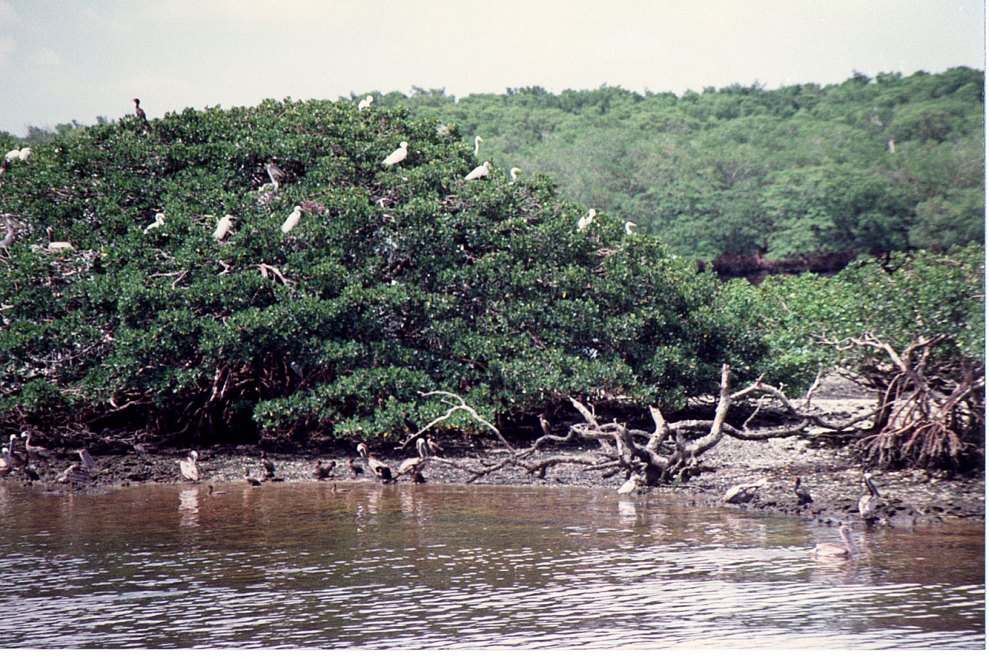 43.jpg, Boat trip