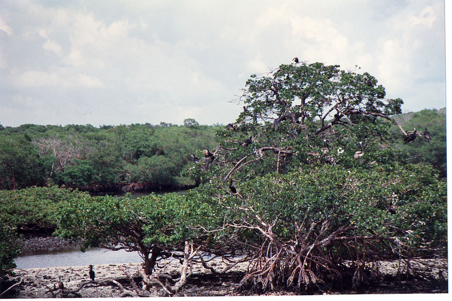44.jpg, Boat trip
