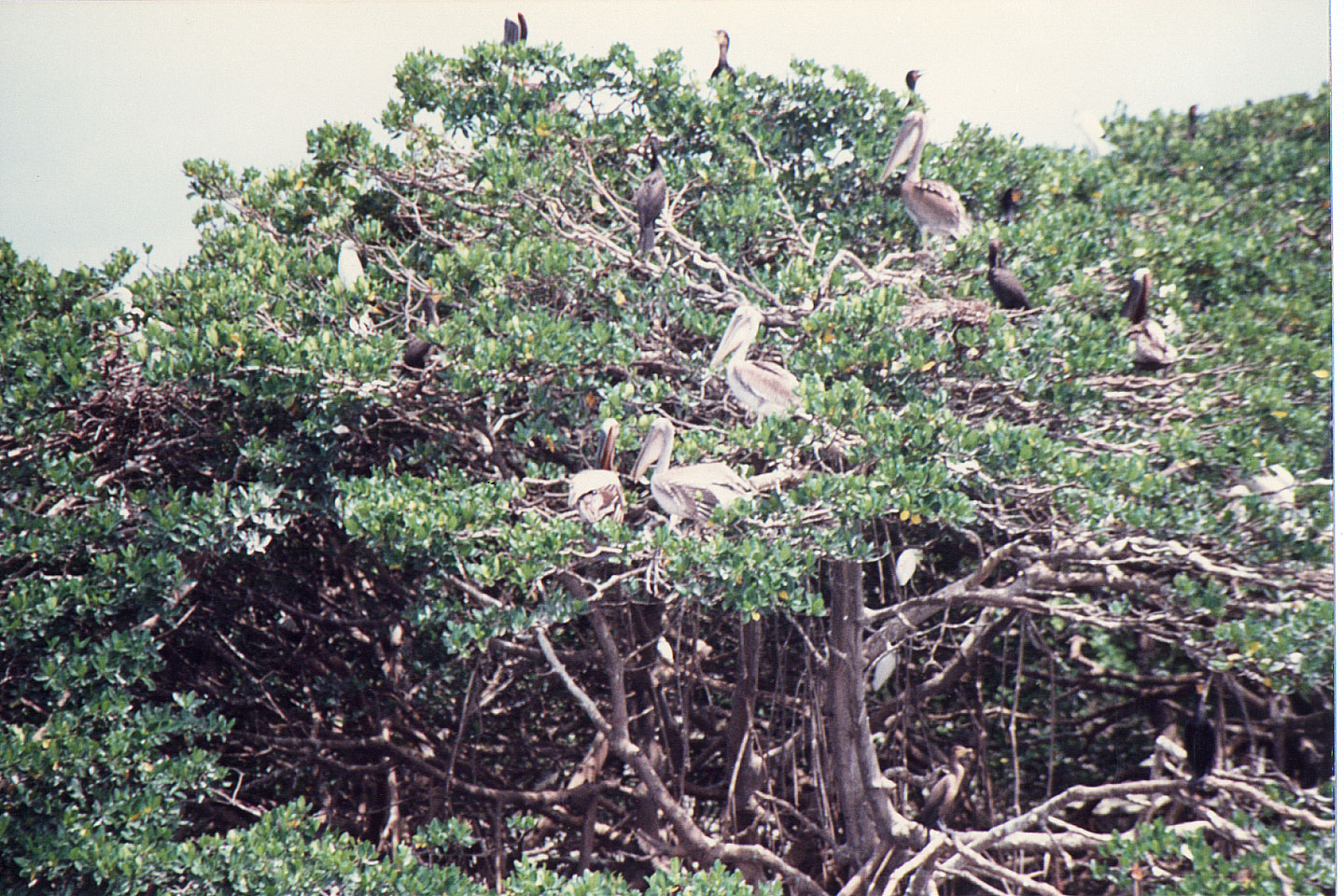 45.jpg, Boat trip