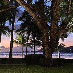 IMG_2563
