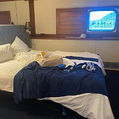 IMG_2577