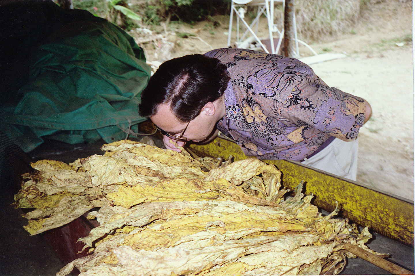 006.jpg, Tobacco drying
Sigatoka Valley