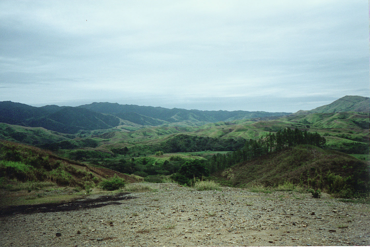 010.jpg, Sigatoka Valley