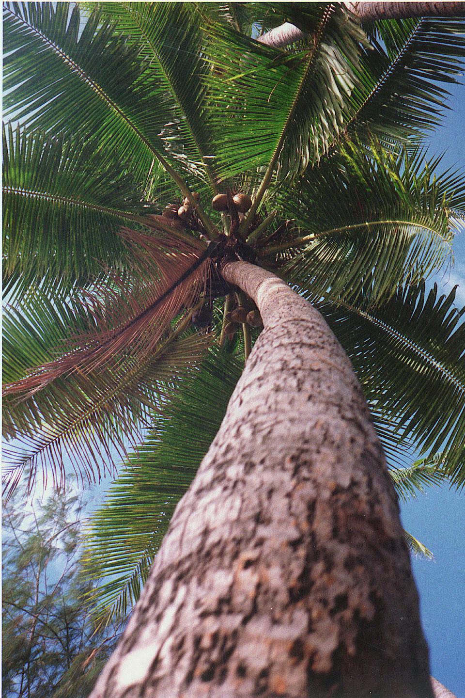 074.jpg, Yasawa Islands