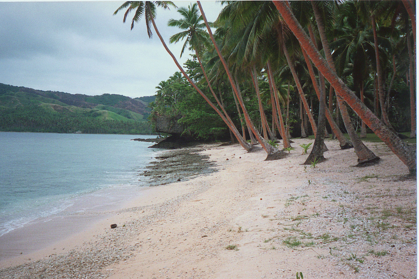 092.jpg, Namale Plantation