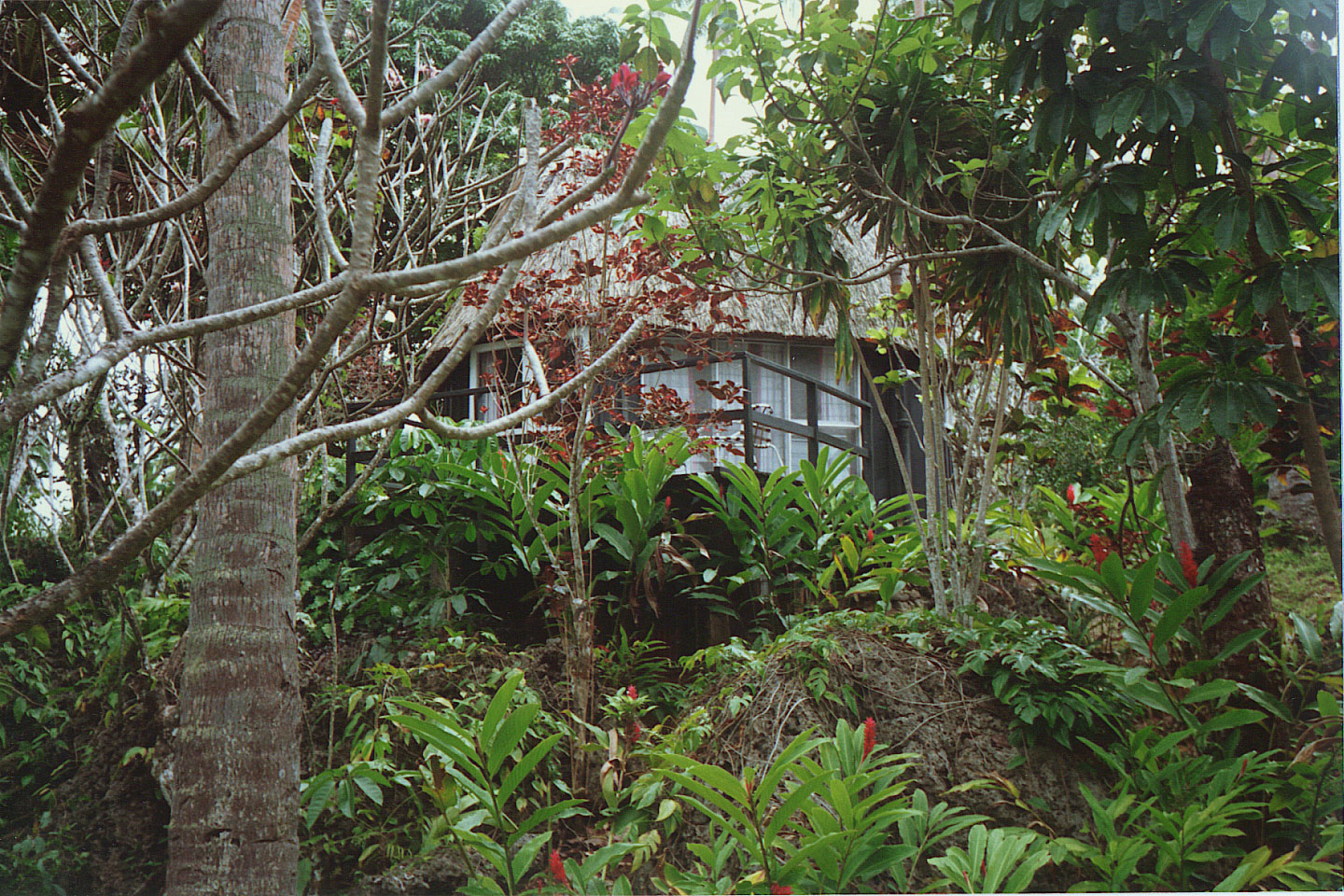 093.jpg, Namale Plantation