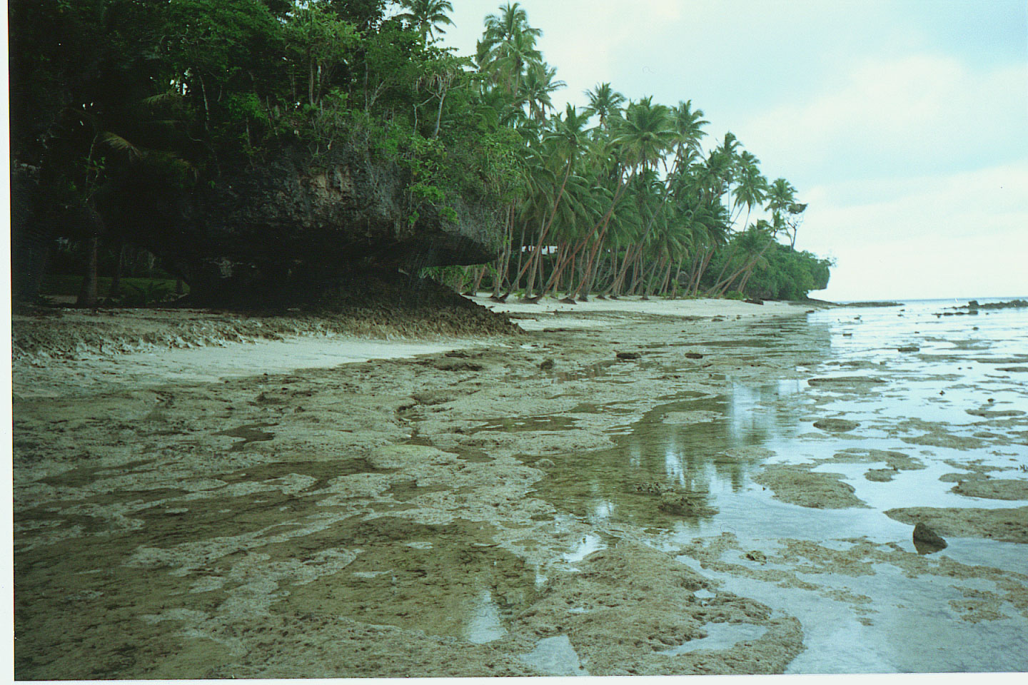 095.jpg, Namale Plantation