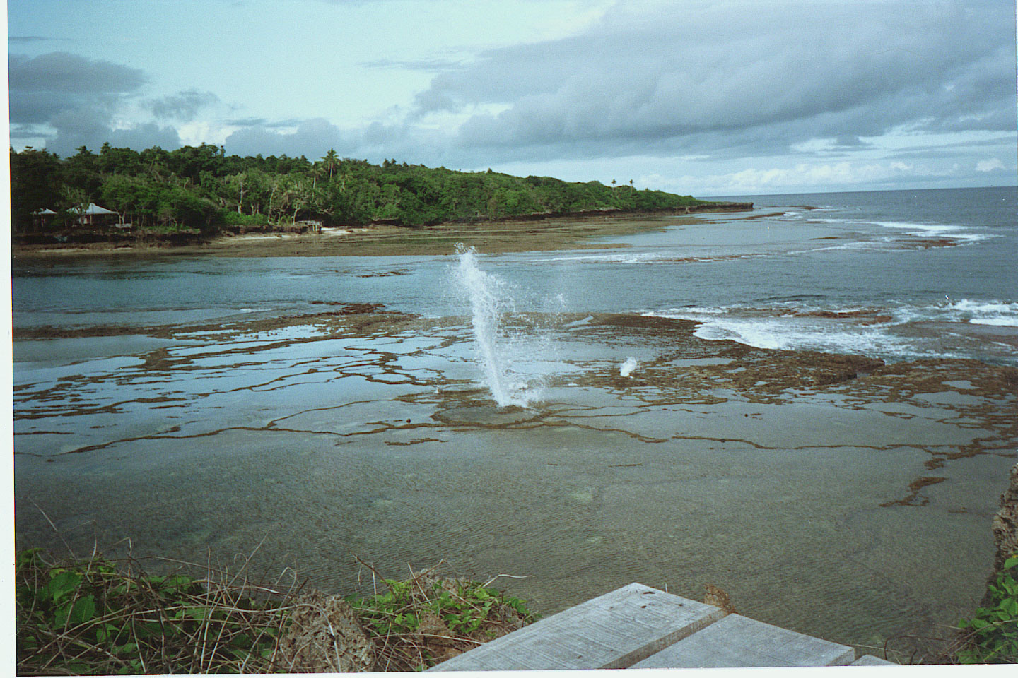 103.jpg, Blow hole
Namale Plantation