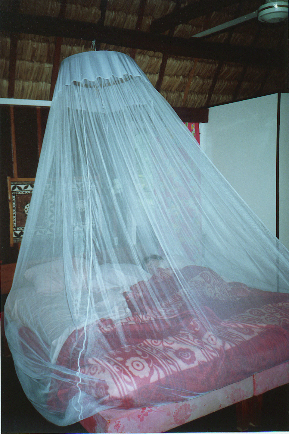 109.jpg, Our room at
Namale Plantation