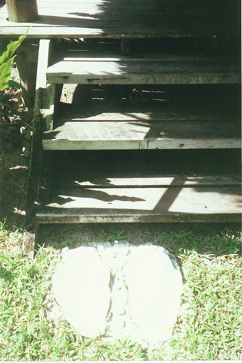 128.jpg, Seashell footbaths
at bure steps