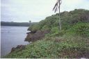 _090.jpg, Namale Plantation