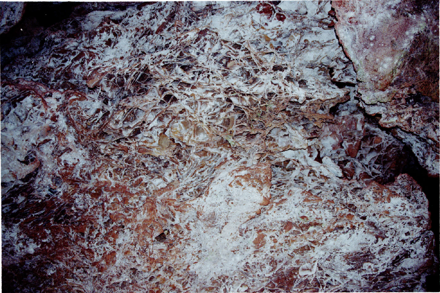 02-07.jpg, 580.4K