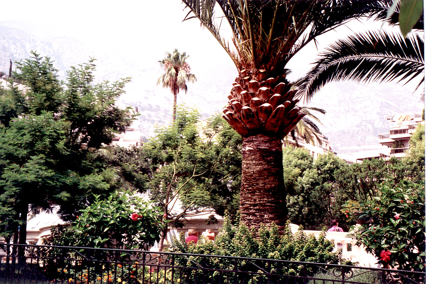 054.jpg, Monte Carlo