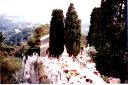 _043.jpg, St Paul de Vence