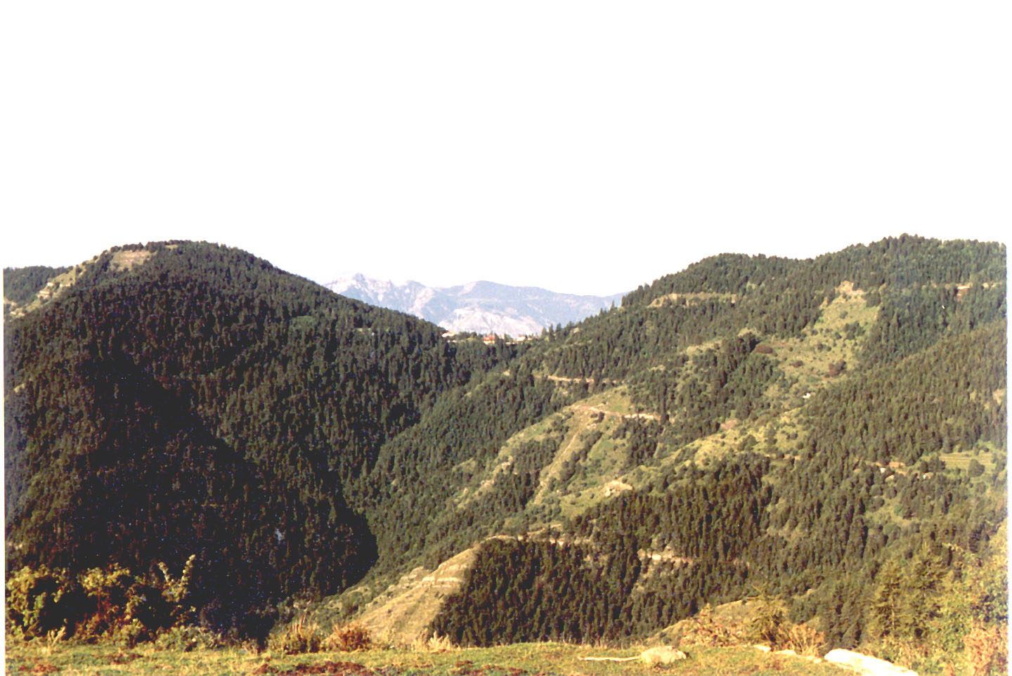 1992-06.jpg, L'Authion, near
Col de Turini