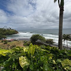 IMG_2620 Driving north of Hilo