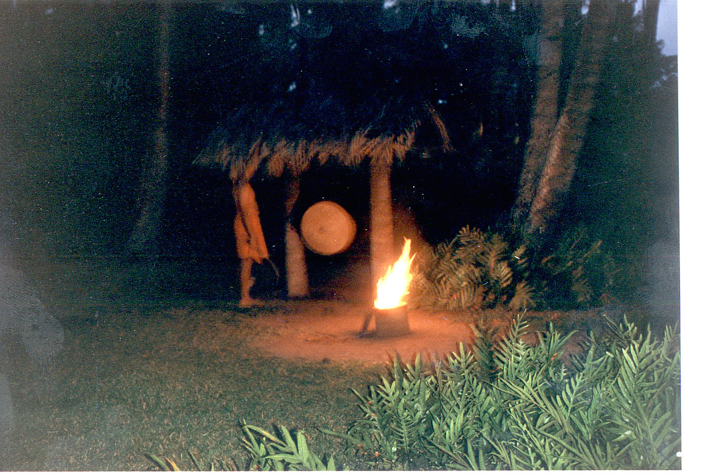 090.jpg, Coco Palms
Kauai