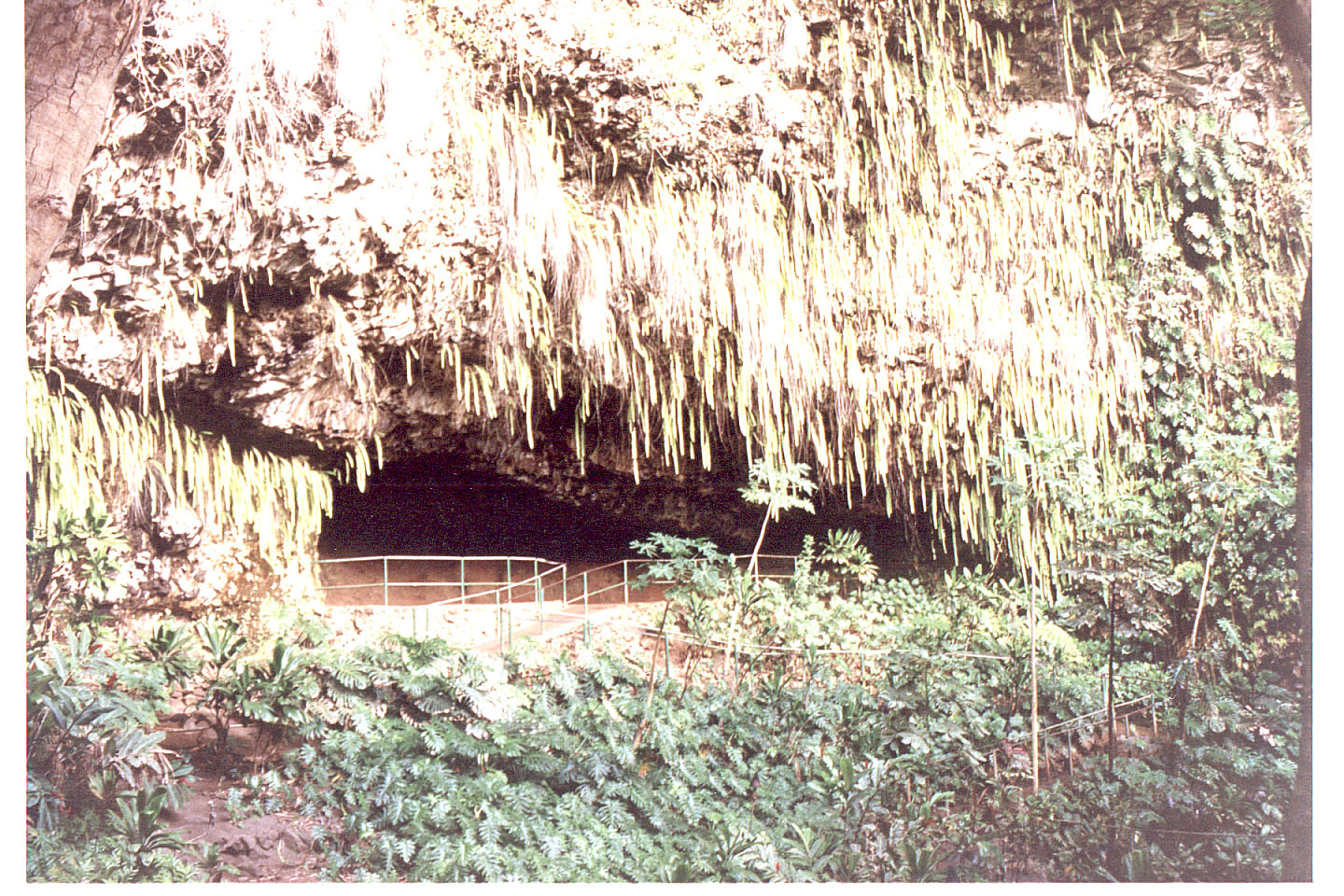 168.jpg, Fern Grotto