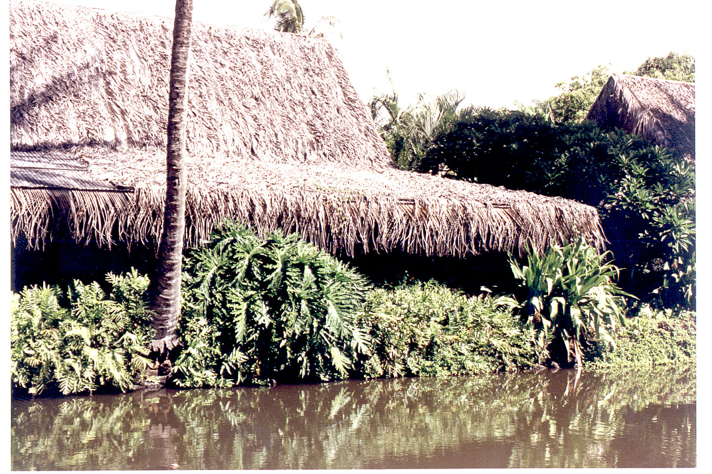 171.jpg, Our room at
Coco Palms