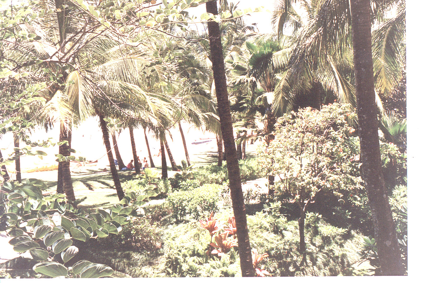 177.jpg, From our room
Westin Kauai