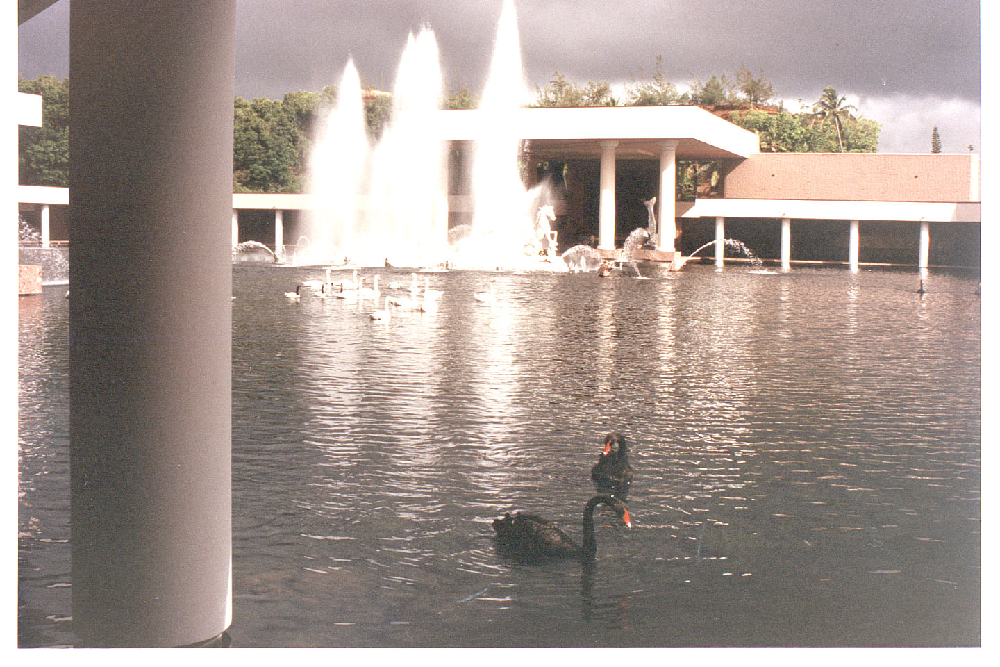 179.jpg, Westin, Kauai