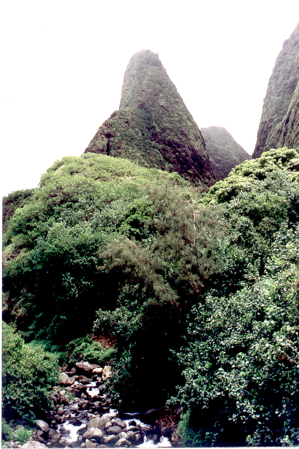 225.jpg, Iao Valley State Park
Maui