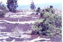 _037.jpg, Hawaii Volcana
National Park