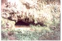 _168.jpg, Fern Grotto