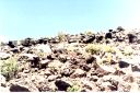 _211.jpg, Haleakala Nat Park
Maui