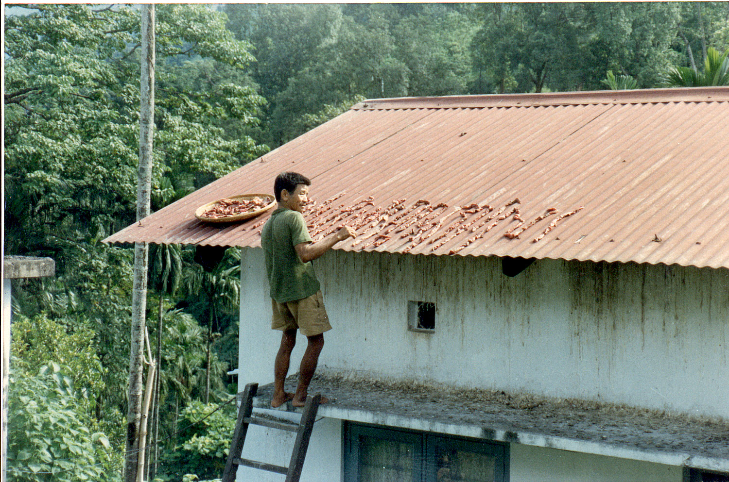 02-31.jpg, Drying chilies on roof
Phuntsholing