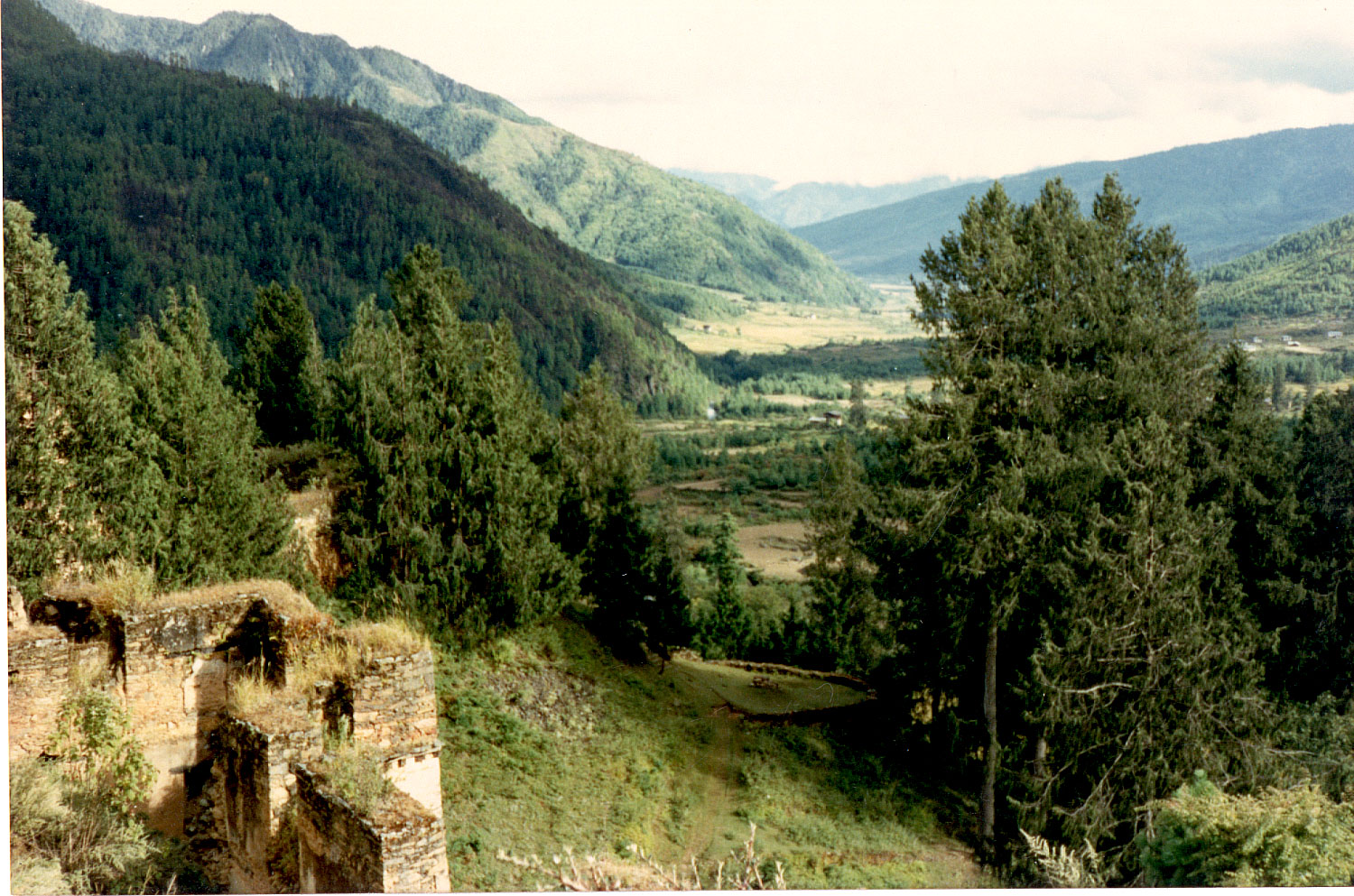 05-31.jpg, view from Drukgyel Dzong
Paro