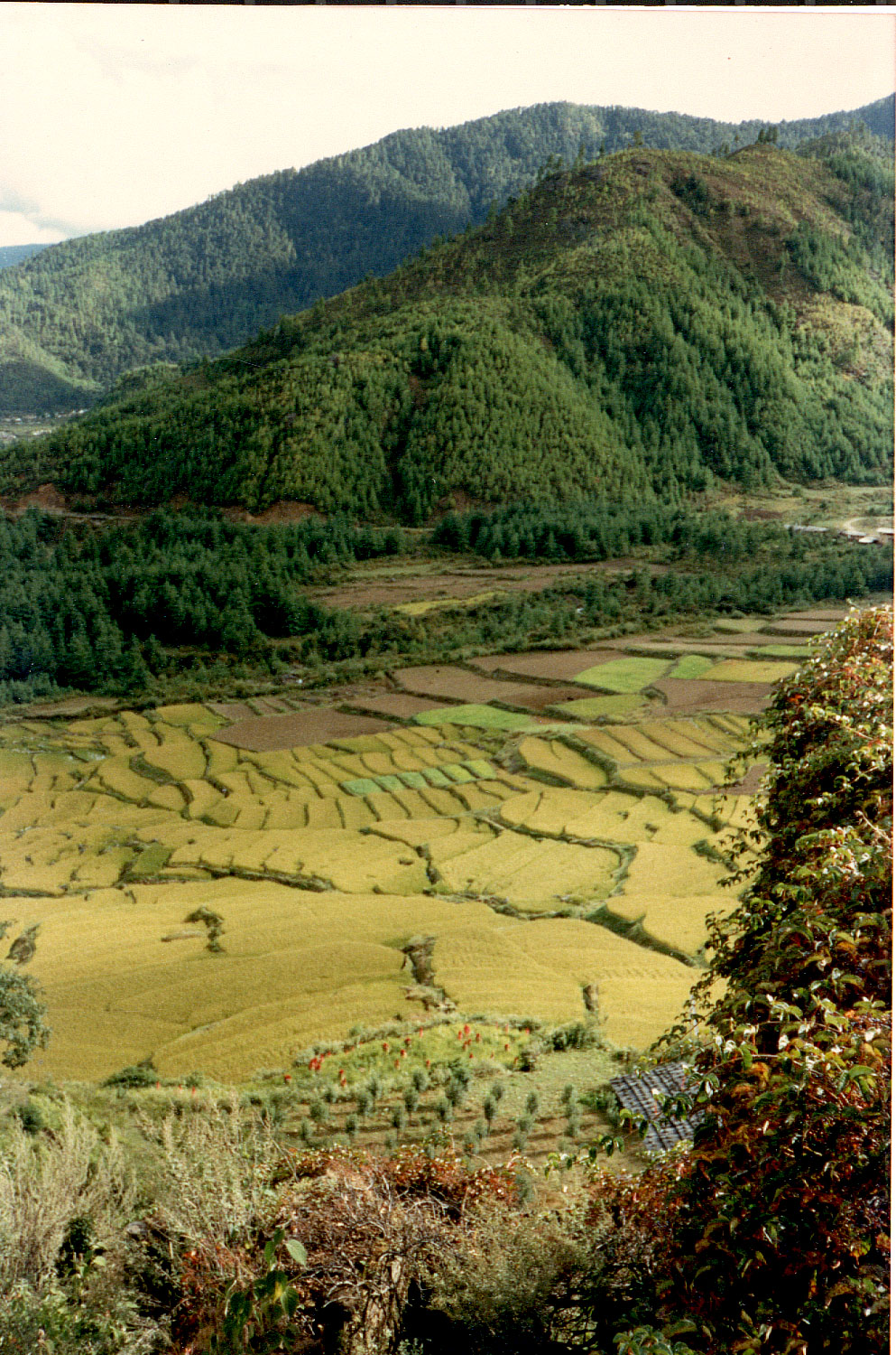 05-35.jpg, view from Drukgyel Dzong
Paro