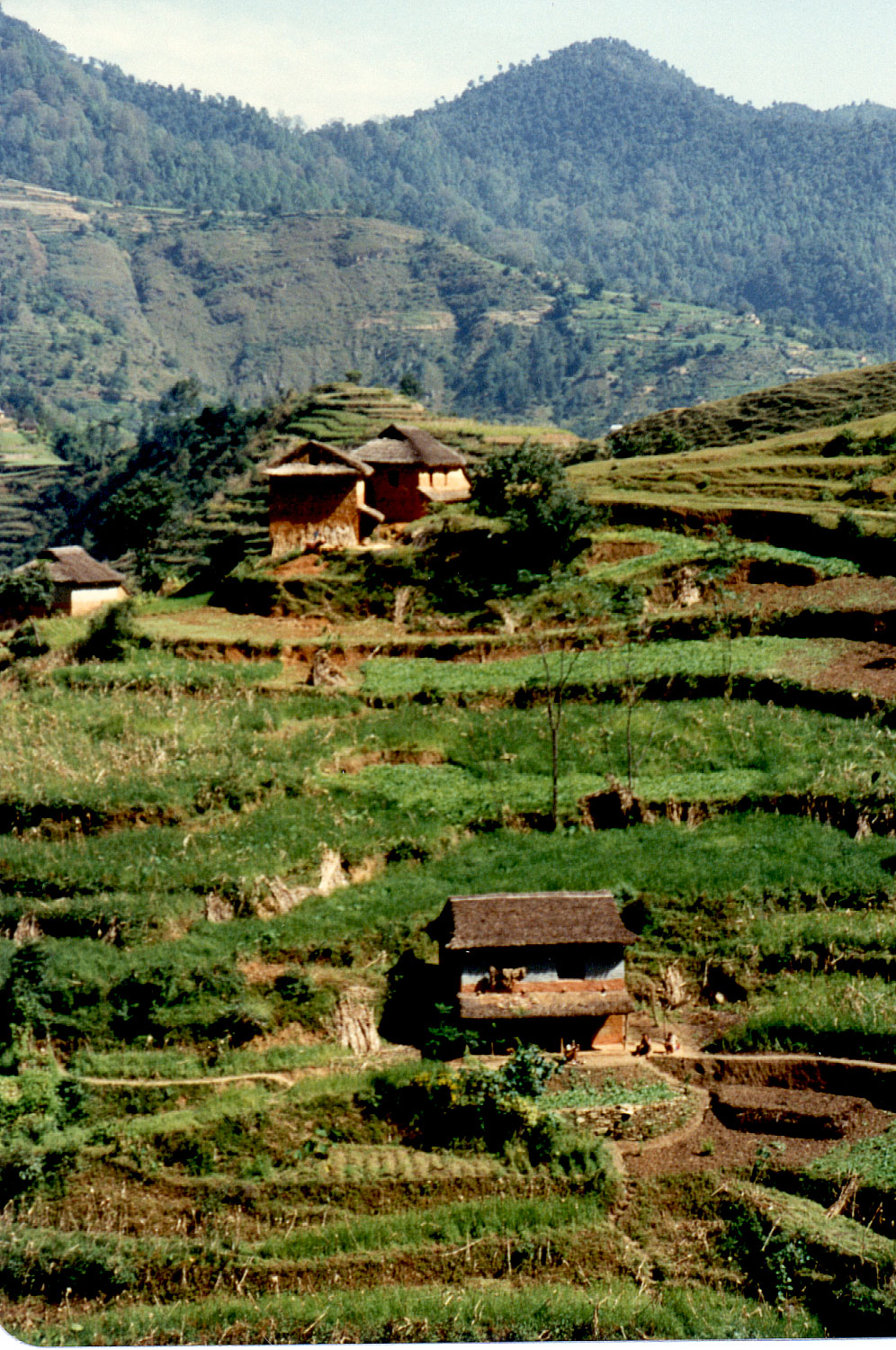 07b-26.jpg, Dil's village
near Kathmandu