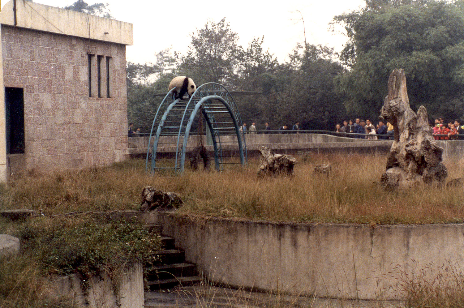 15-08.jpg, Chendu Zoo