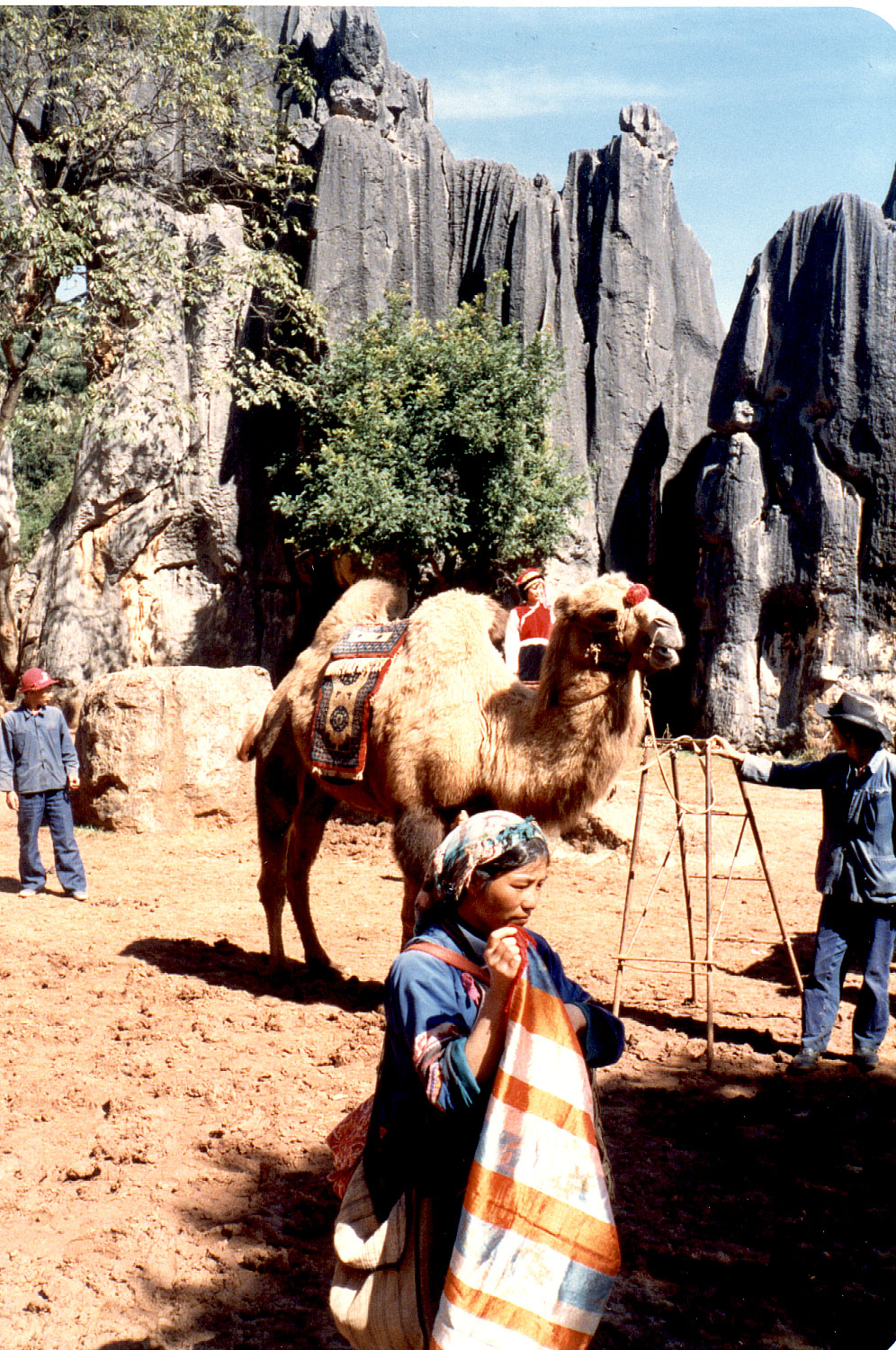 16-30.jpg, Stone Forest
Kunming, China