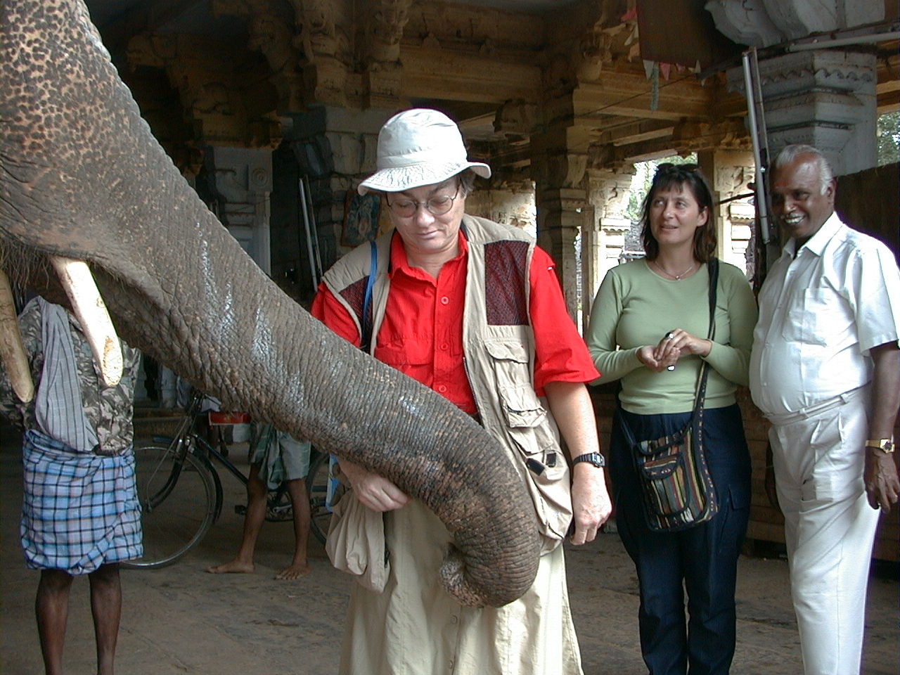 012.jpg, Temple Elephant
Trichy