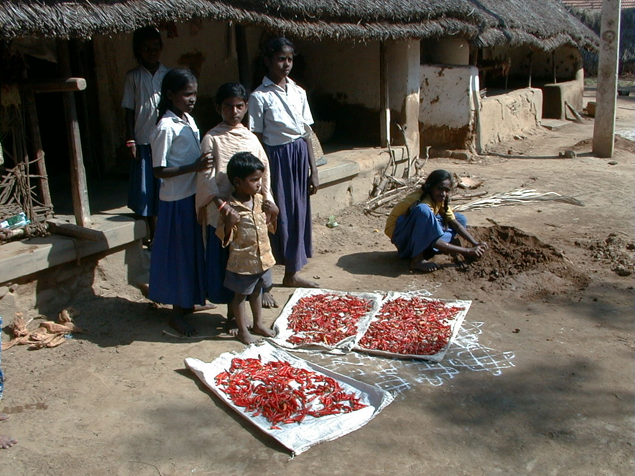 041.jpg, local village