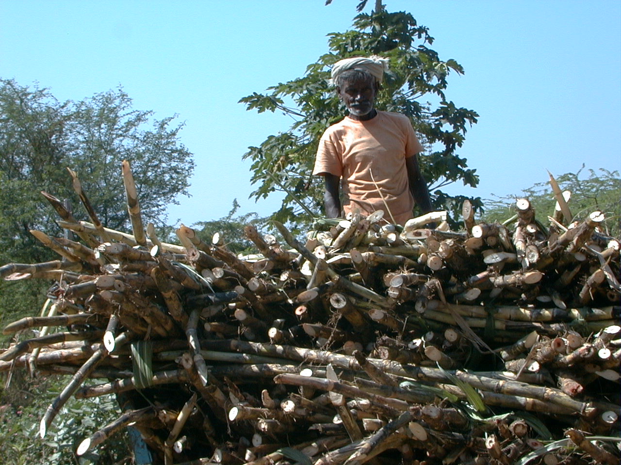 048.jpg, Sugar mill