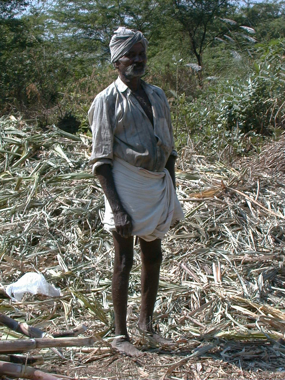 049.jpg, Sugar mill