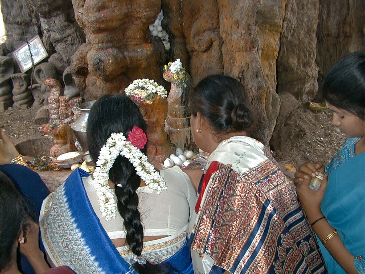 102.jpg, Snake shrine