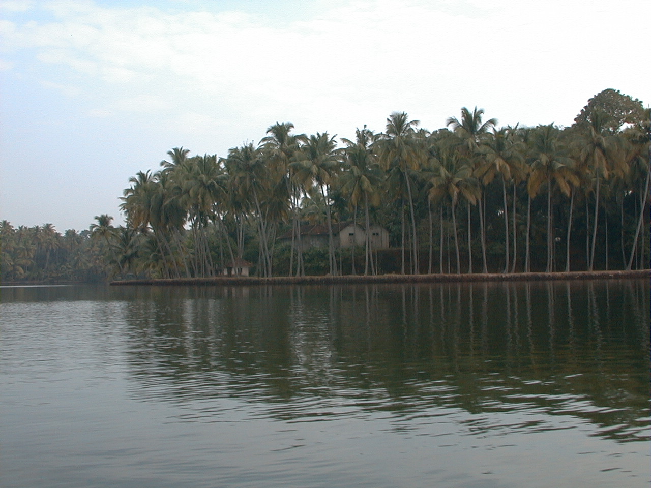 117.jpg, Quillon, Kerala