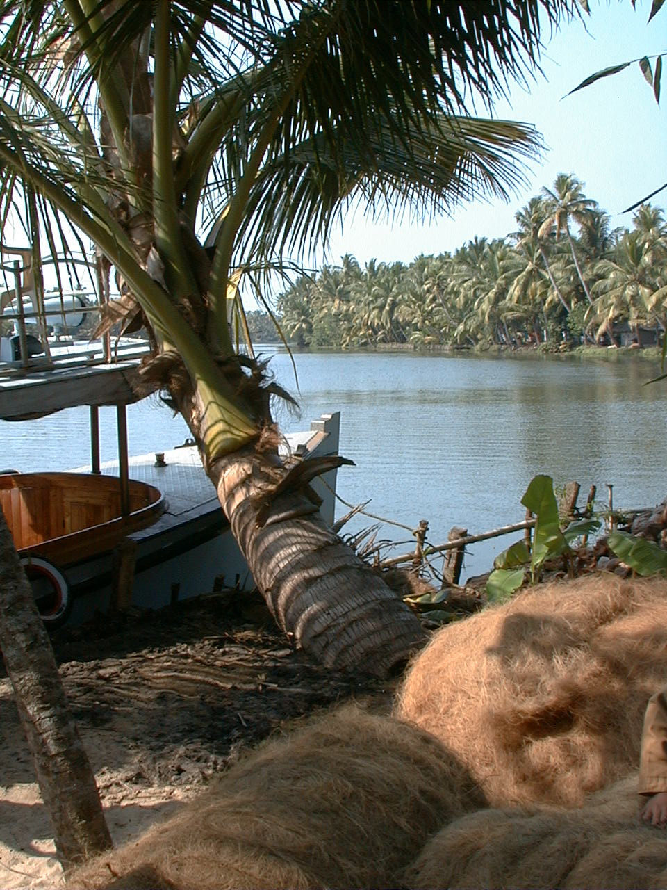 146.jpg, Lunch, Kerala