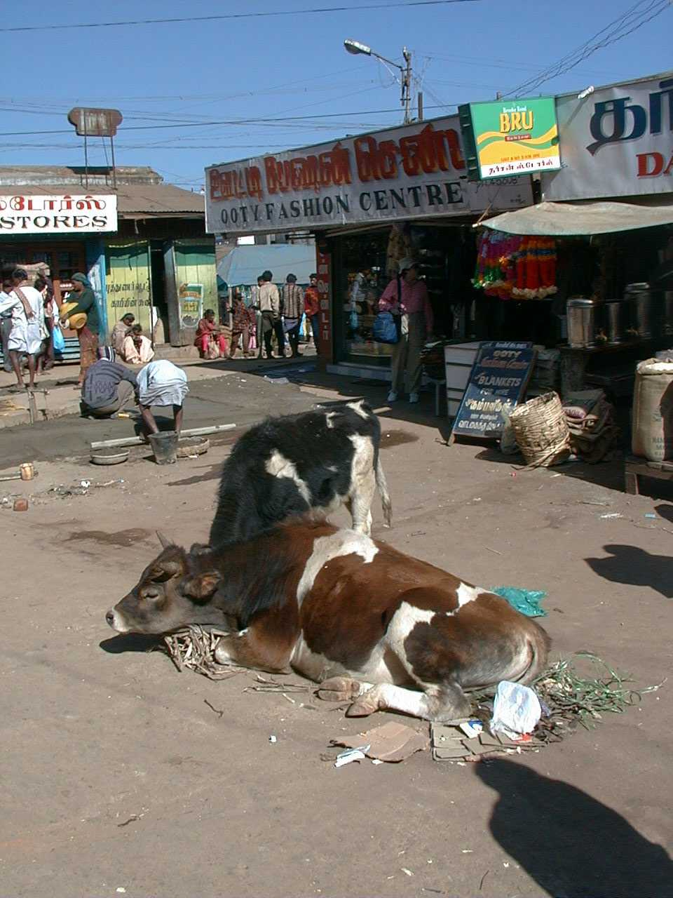 192.jpg, Ooty market